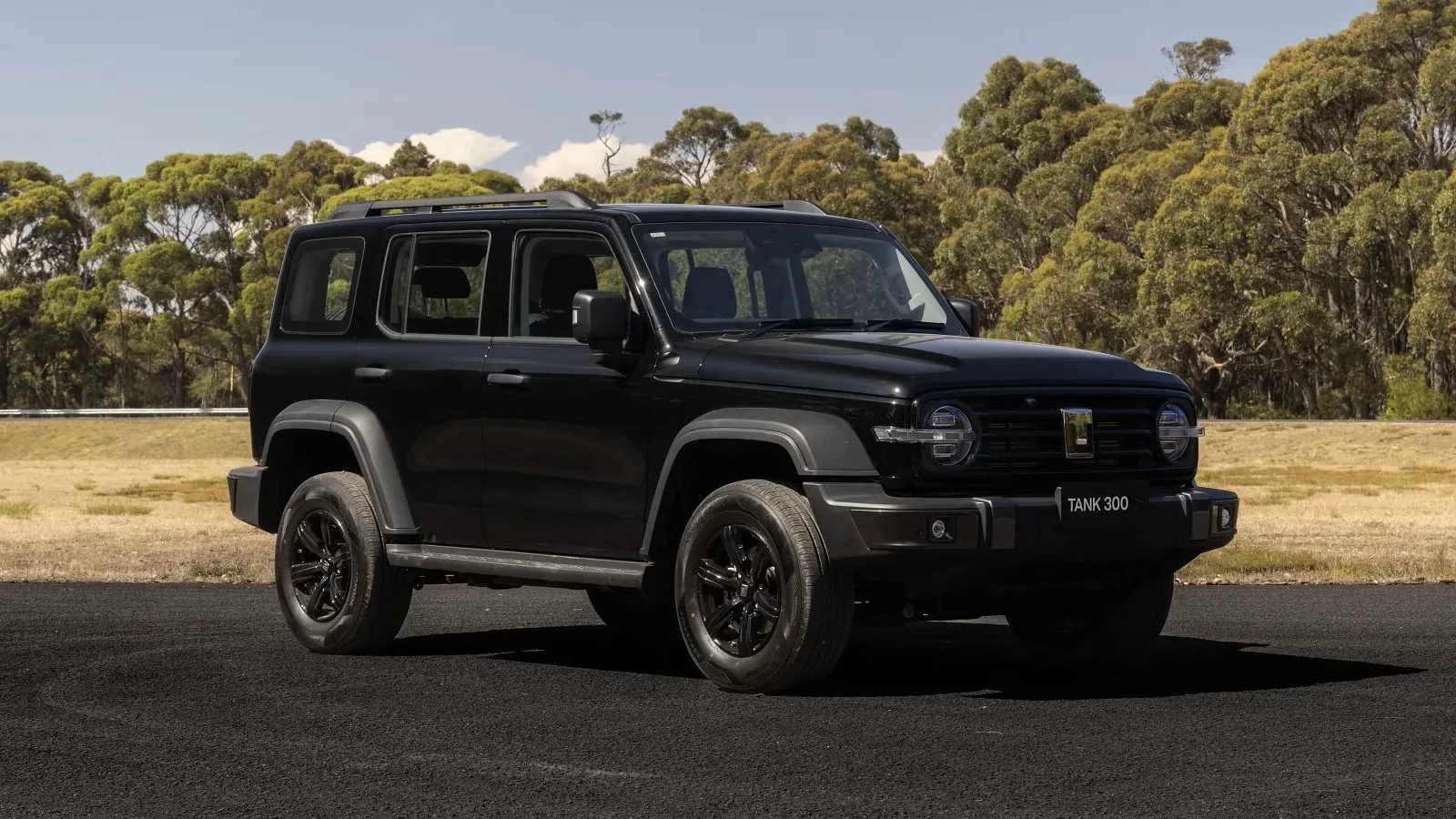 GWM Tank 300 - Car Image